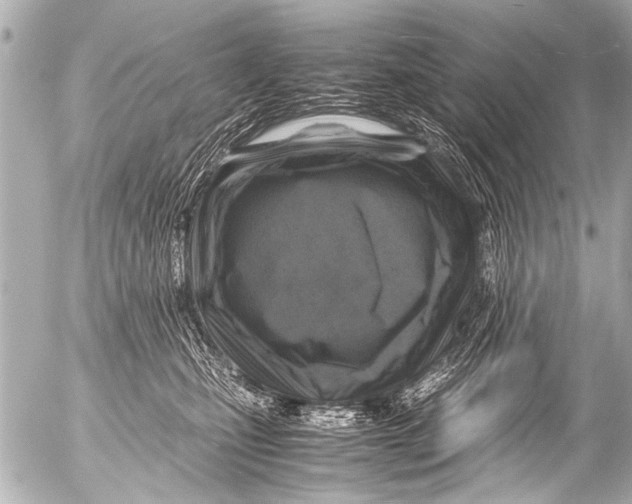 X0000054470471200508270134