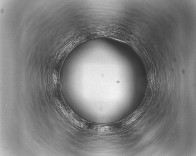 X0000054470472200508270134