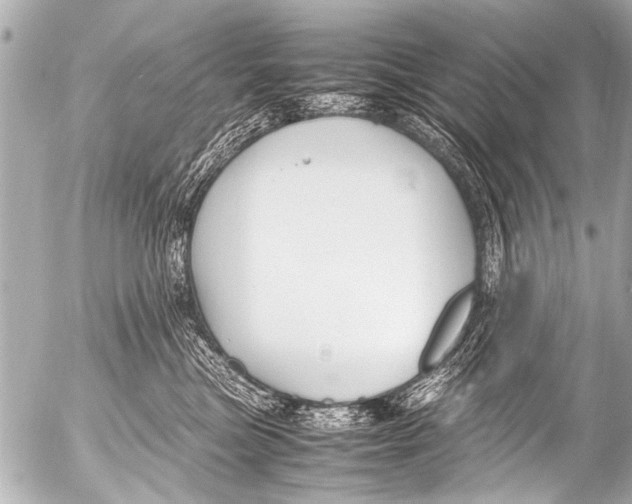 X0000054470473200508270134