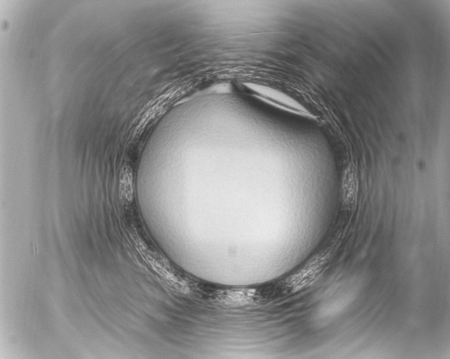 X0000054470474200508270134