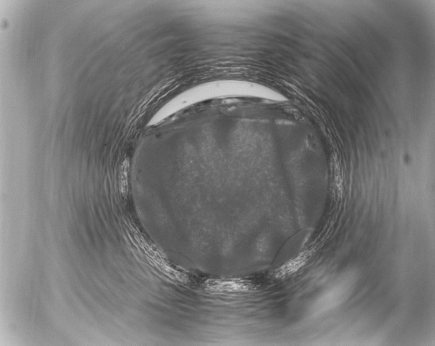 X0000054470475200508270134