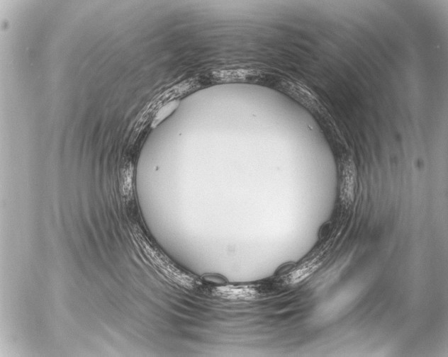 X0000054470477200508270134