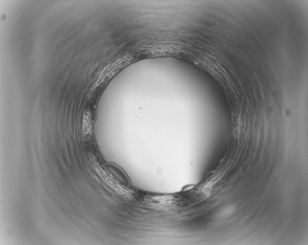 X0000054470478200508270134