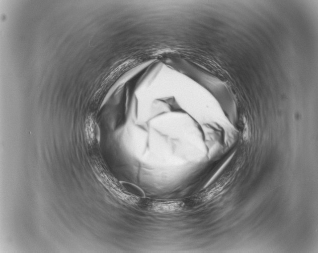 X0000054470479200508270134