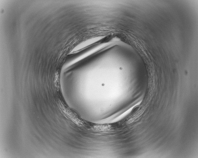 X0000054470480200508270134