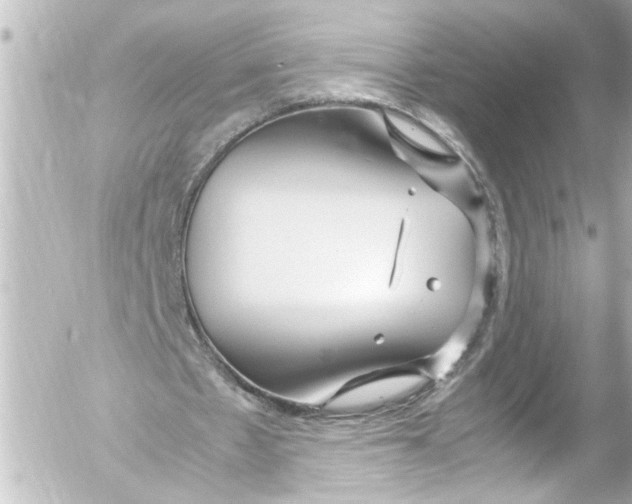 X0000054470481200508270133