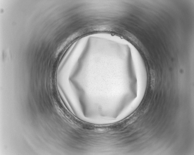 X0000054470482200508270133