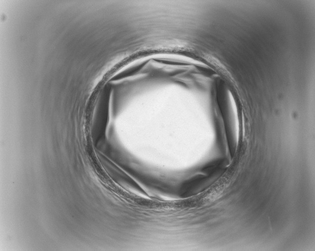 X0000054470483200508270133