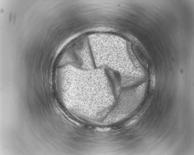 X0000054470484200508270133