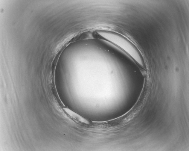 X0000054470485200508270133