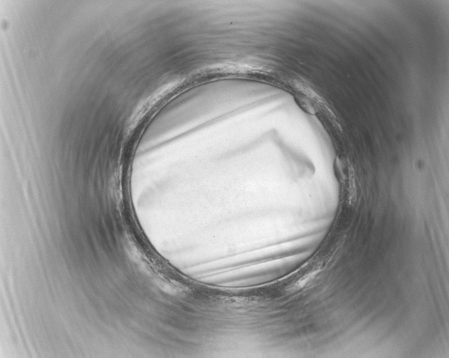 X0000054470486200508270133