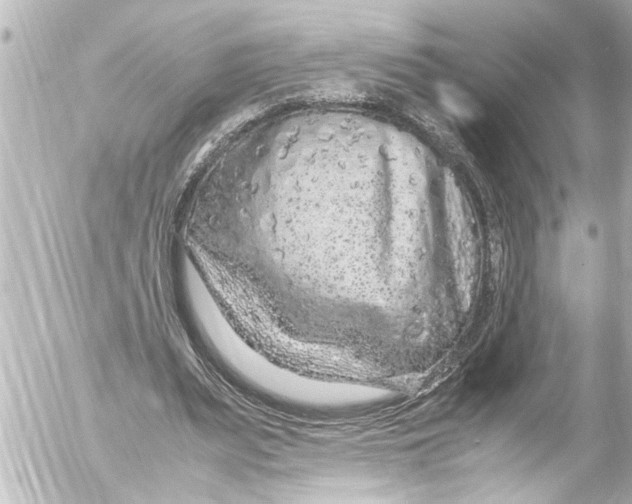 X0000054470487200508270133