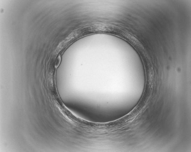 X0000054470489200508270133