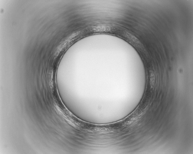 X0000054470490200508270133