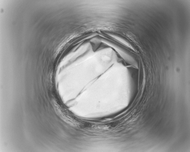 X0000054470491200508270133