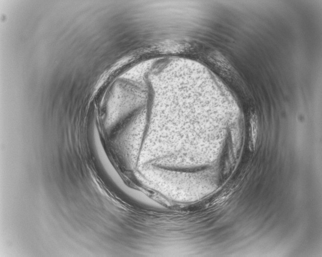 X0000054470492200508270133