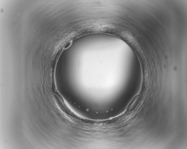 X0000054470493200508270133