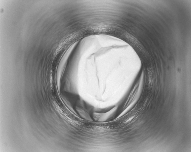 X0000054470494200508270133