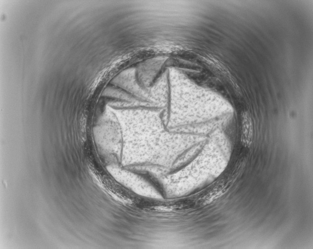 X0000054470496200508270133