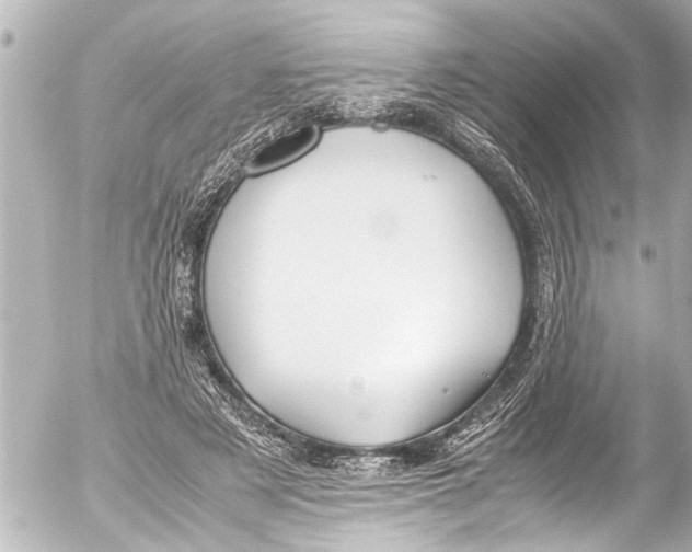 X0000054470497200508270133