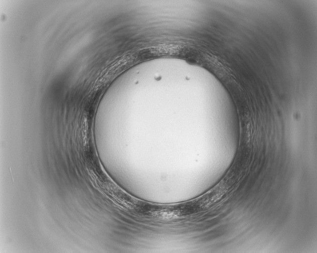 X0000054470498200508270133