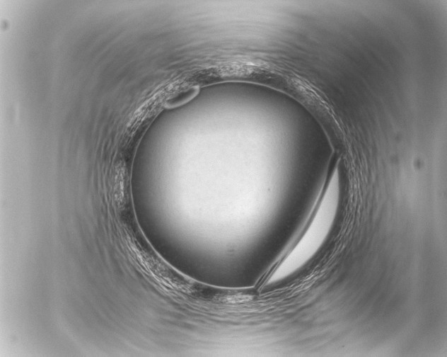 X0000054470501200508270133