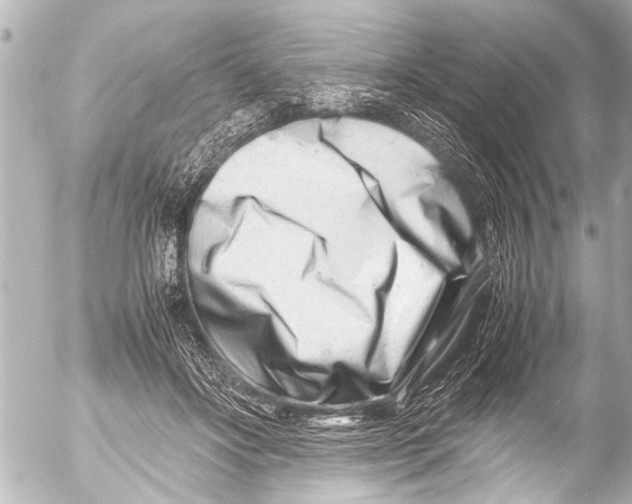 X0000054470502200508270133