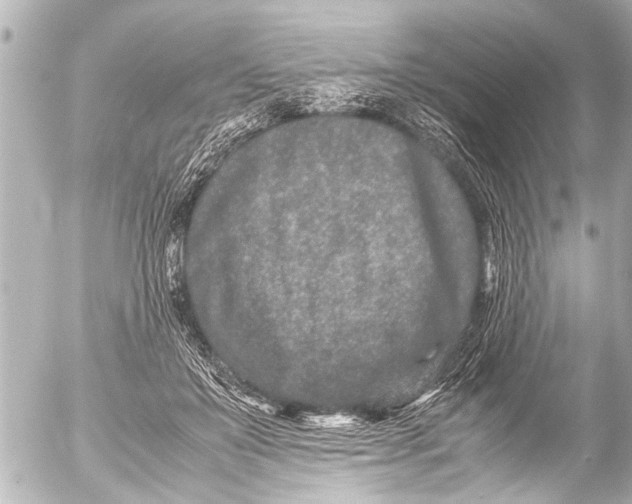 X0000054470503200508270133