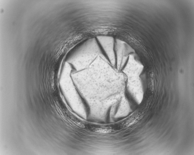 X0000054470504200508270133