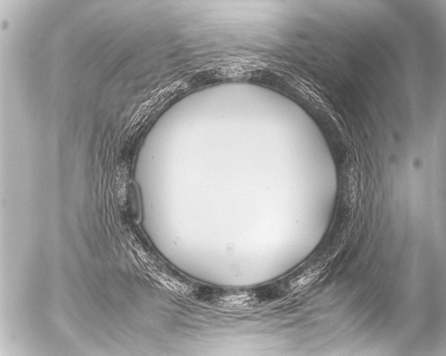 X0000054470505200508270133