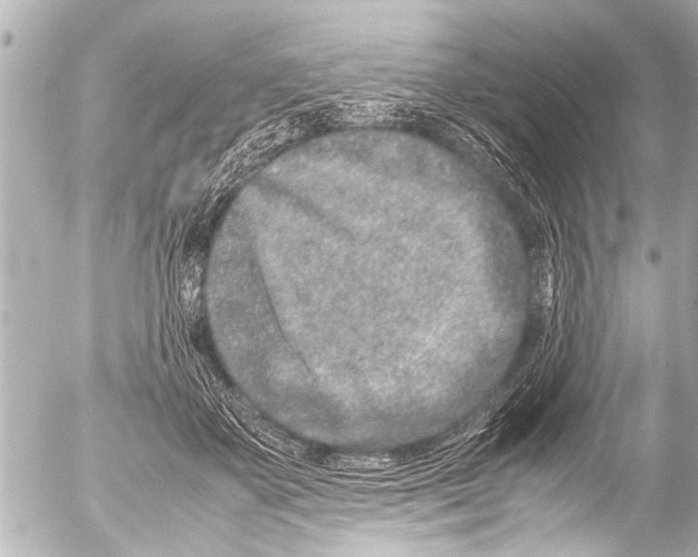 X0000054470507200508270133