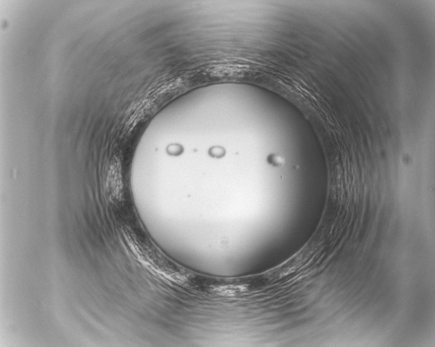 X0000054470508200508270133