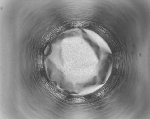 X0000054470510200508270133