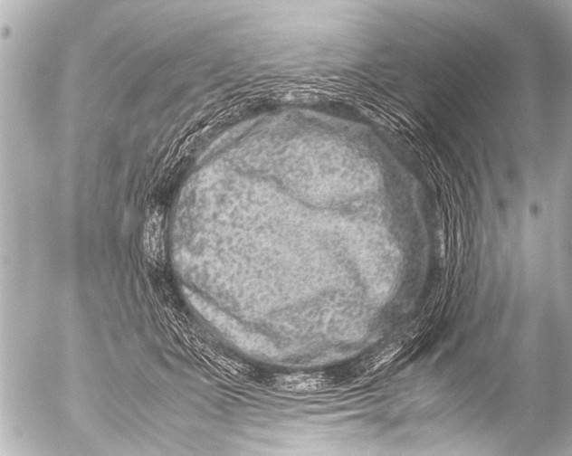 X0000054470511200508270133