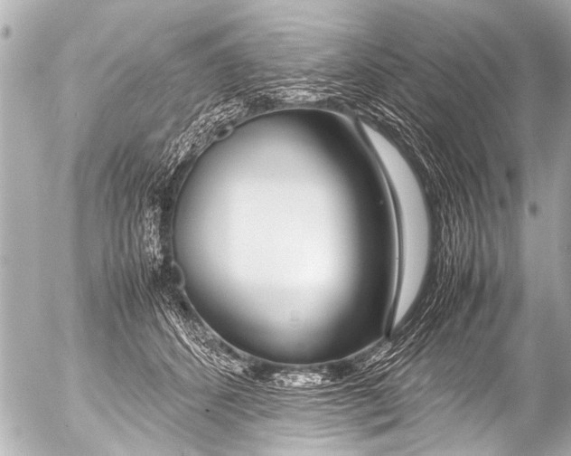 X0000054470512200508270133