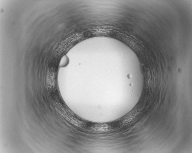 X0000054470514200508270133