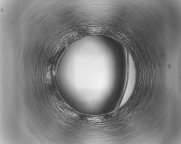 X0000054470516200508270133