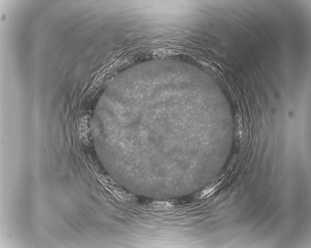 X0000054470519200508270132