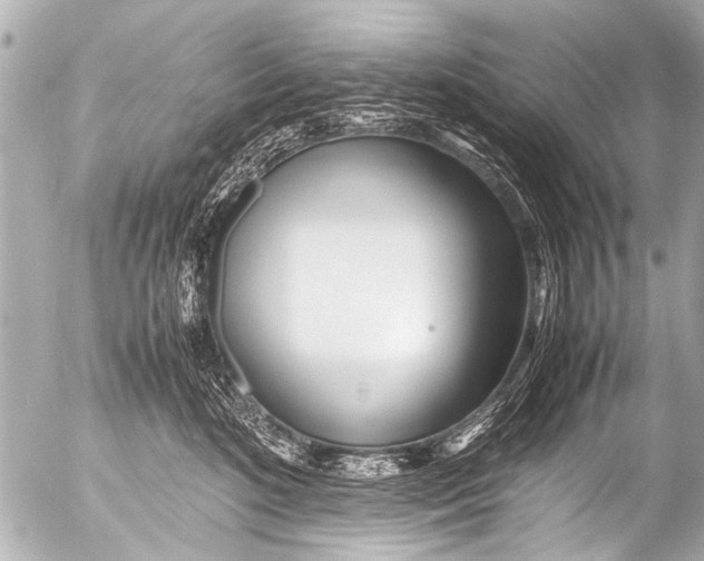 X0000054470520200508270132