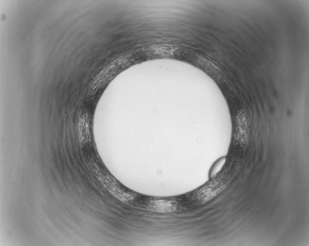 X0000054470522200508270132