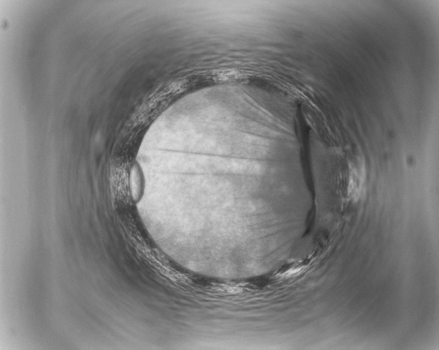 X0000054470523200508270132