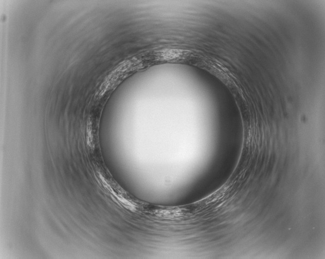 X0000054470524200508270132