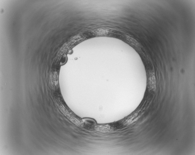 X0000054470525200508270132