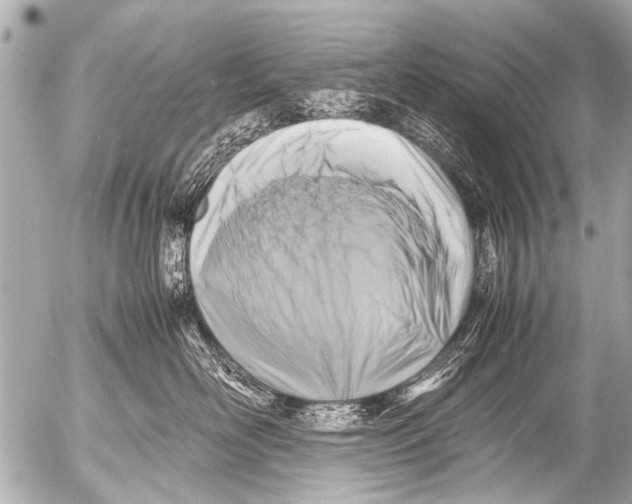 X0000054470526200508270132