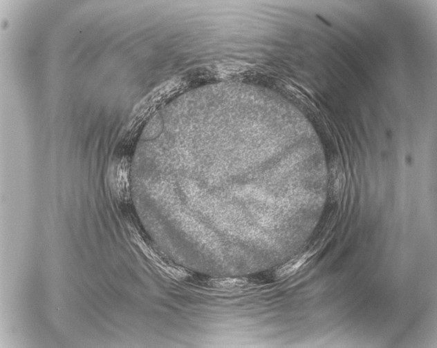 X0000054470527200508270132