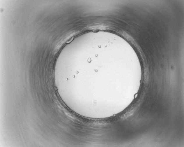 X0000054470529200508270132