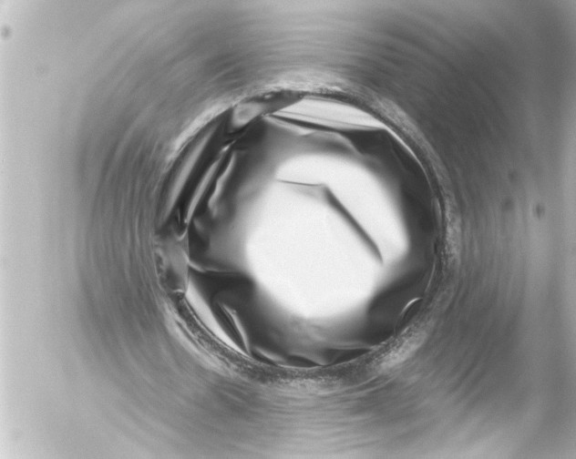 X0000054470530200508270132