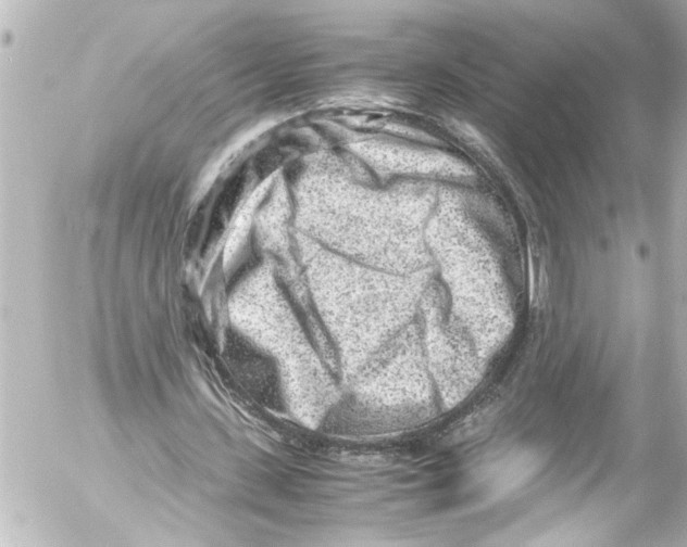 X0000054470531200508270132