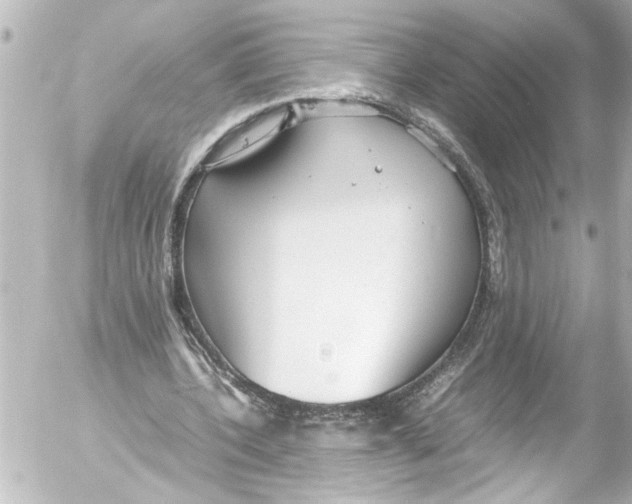 X0000054470532200508270132