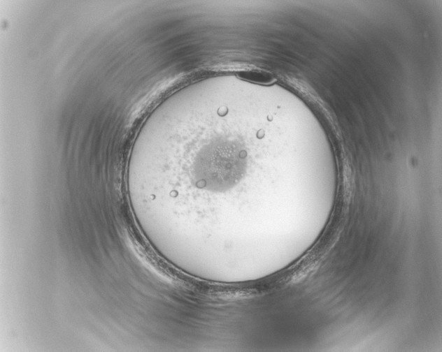 X0000054470533200508270132